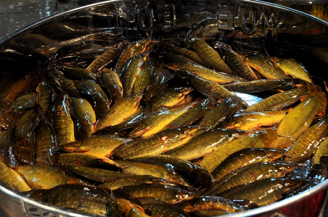 saigons-seafood-kingdom-by-night-4