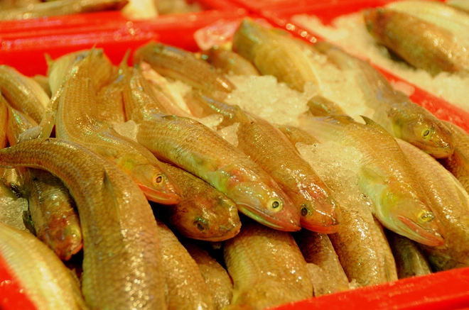 Chợ cá tươi rói ở Sài Gòn chỉ bán vào ban đêm