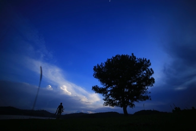 da-lats-lonely-tree-offers-shelter-for-the-night-6
