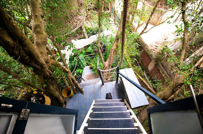 tree-house-hidden-in-hanoi-jungle-enraptures-travelers-10