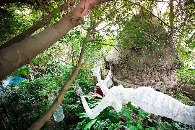 tree-house-hidden-in-hanoi-jungle-enraptures-travelers-2