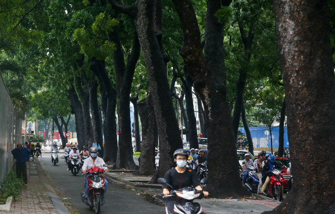 take-a-final-look-at-these-saigon-sentinels-before-theyre-gone-forever-7