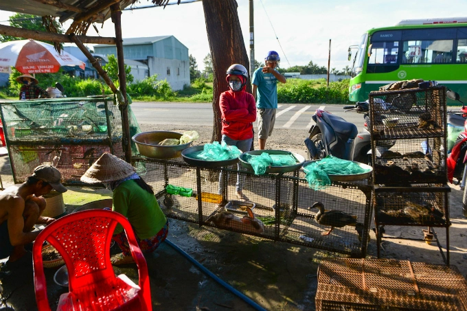 yucky-or-yummy-heres-where-vietnamese-rat-meat-comes-from