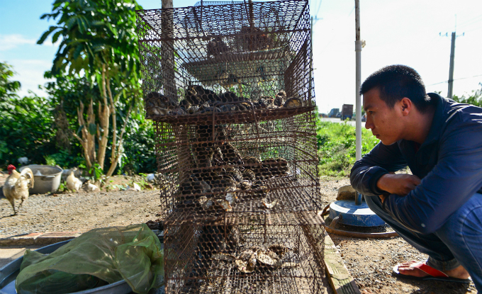 yucky-or-yummy-heres-where-vietnamese-rat-meat-comes-from-3