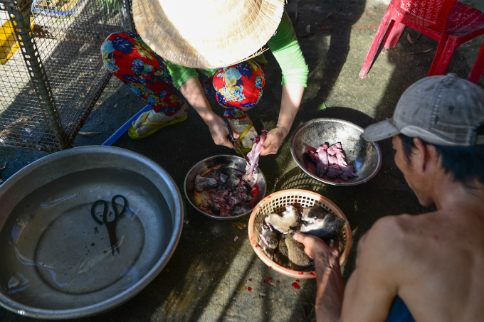 yucky-or-yummy-heres-where-vietnamese-rat-meat-comes-from-5