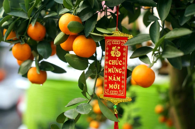 Happy New Year read this tag on the kumquat tree. Photo by VnExpress/Quynh Tran