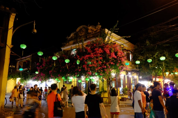 Hoi An enjoys a floral explosion in summer - 7