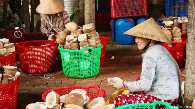 Every bit of the coconut fruit is used, nothing goes to waste: shell, fiber and flesh are used for different products.