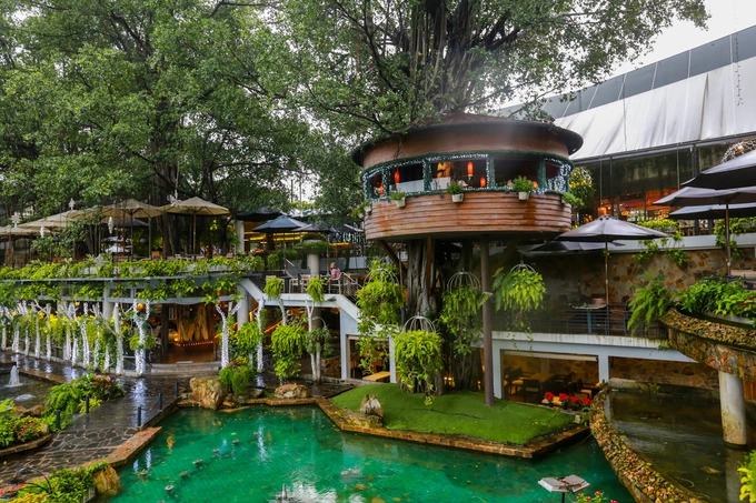 A Saigon caf climbs trees to serve its customers - VnExpress International A Saigon caf climbs trees to serve its customers - VnExpress International