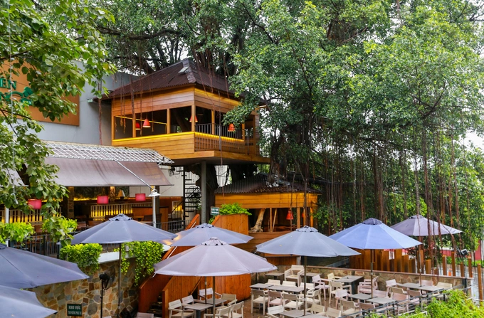 A Saigon café climbs trees to serve its customers - 2