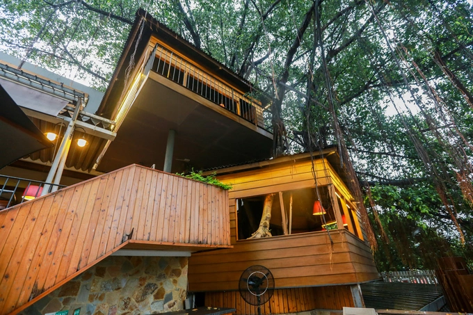 A Saigon café climbs trees to serve its customers - 3