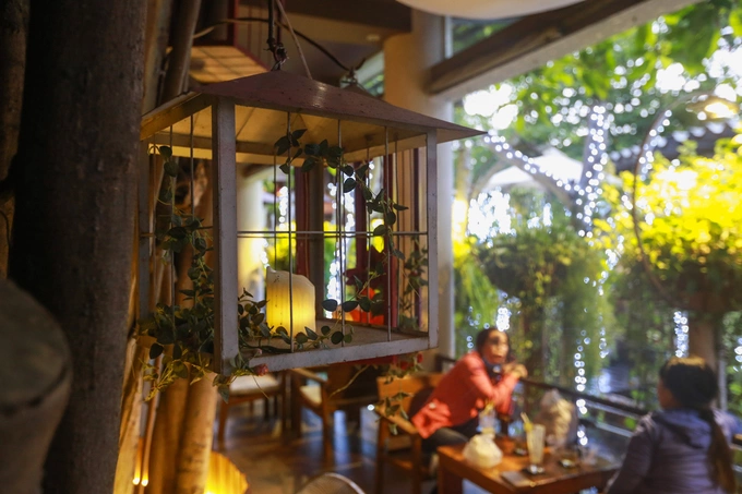 A Saigon café climbs trees to serve its customers - 9