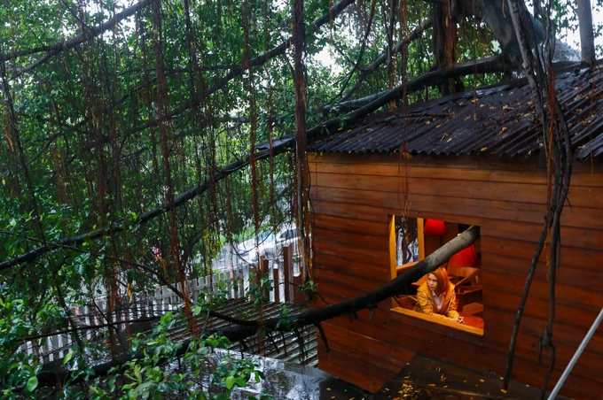 A Saigon café climbs trees to serve its customers - 6