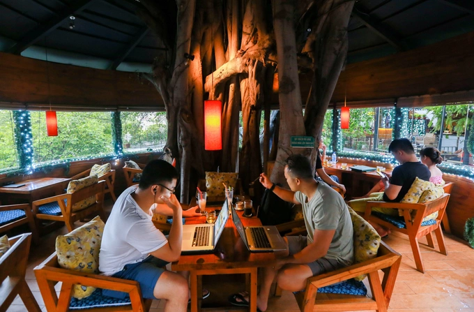 A Saigon café climbs trees to serve its customers - 7