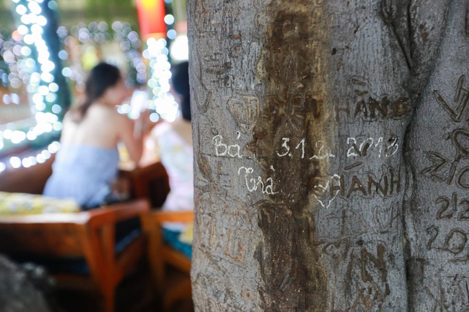 A Saigon café climbs trees to serve its customers - 10
