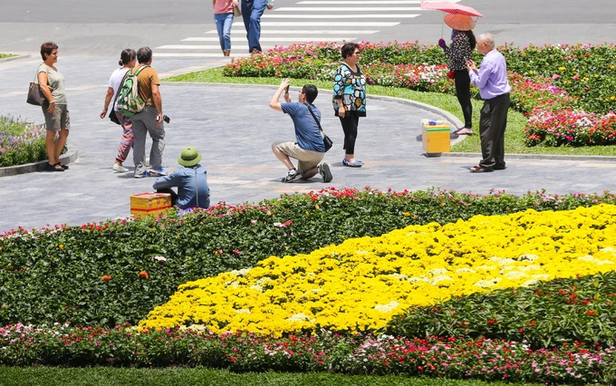 New flower garden adds flourishing charm to Saigons famous cathedral - 5