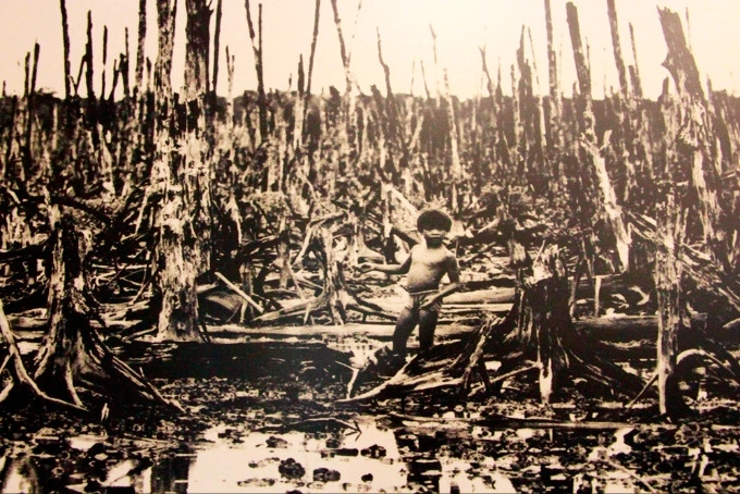 Hue exhibition shows USs deadly Agent Orange legacy - 3