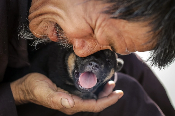 Homeless man dedicates life to rescuing dogs slated for slaughter - 1