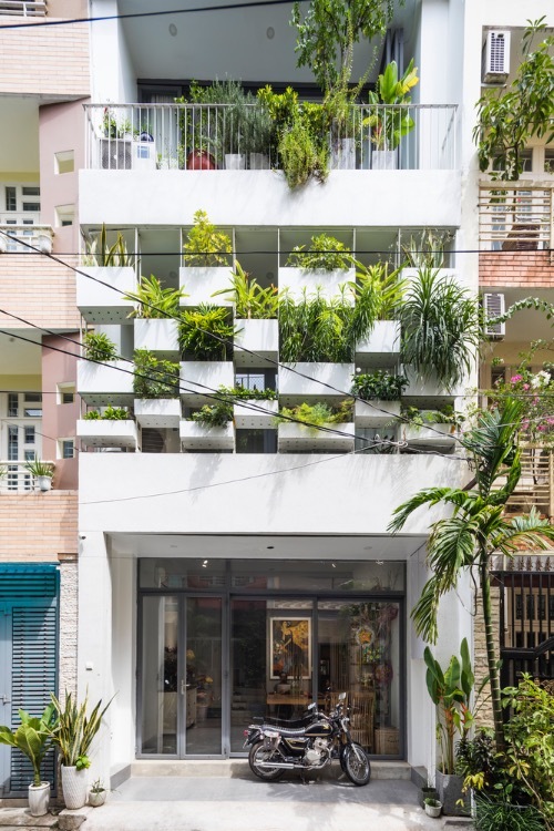 Potted plants are placed on a hanging system of the facade, prevents harsh sunlight and dust in the afternoon and protects homeowners privacy. Thanks to this shield, the interior space is cooler, quieter and more private.