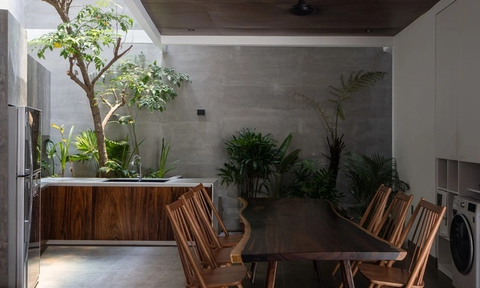 An atrium allows natural light to enter, which also benefits plants inside the house.