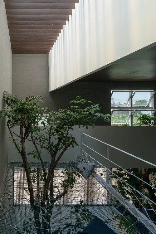The owners want a small garden inside the house, so architects decided to put trees at as many places as they can. The greenery combines with windows and an atrium, making the house have more natural features.