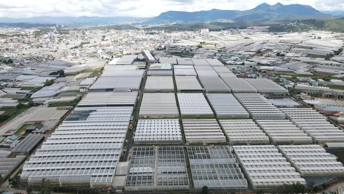 Greenhouses in Da Lat, February 2023. Photo by VnExpress/Phuoc Tuan