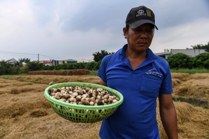 A farmer holds a basket of straw mushrooms in Can Tho. Photo by AFP/Nhac Nguyen