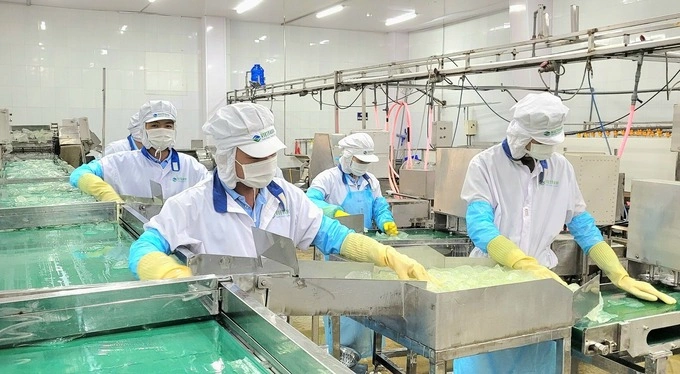 Workers at G.C Food Company’s aloe vera processing plant in the central province of Ninh Thuan. Photo courtesy of G.C Food Company