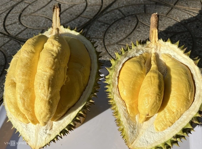Durians in Can Tho Province. Photo by VnExpress/Manh Khuong