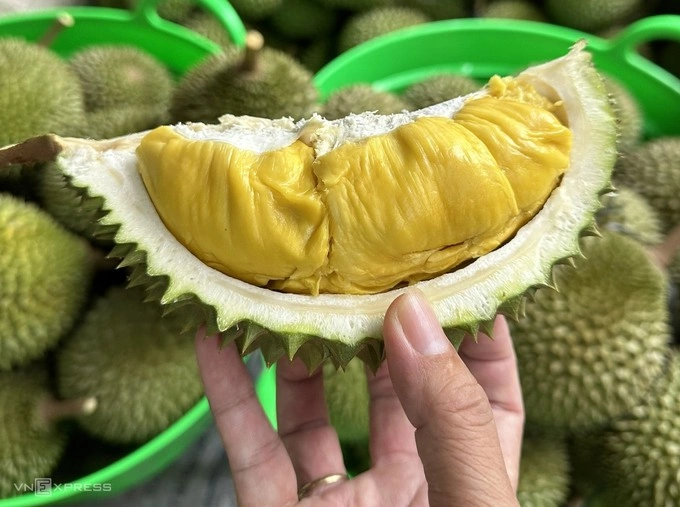 Durian in an orchard in the Mekong Delta City of Can Tho. Photo by VnExpress/Manh Khuong