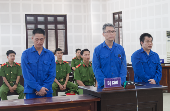 Three men stand trial in Da Nang for attacking another man in Da Nang City, June 20, 2023. Photo by VnExpress/Ngoc Truong