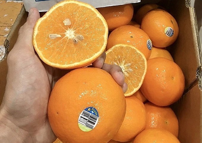 Tangerines imported from Australia. Photo courtesy of Binh Thuan Fruits and Greens Company