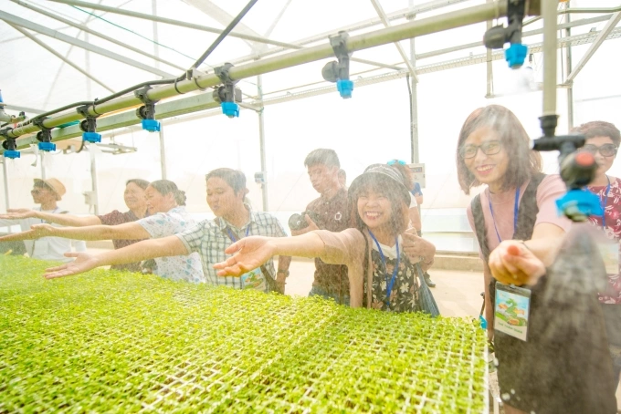 The WinEco hi-tech farms provide clean fruits and vegetables to consumers through the WinMart and Winmart+ systems. Photo courtesy of Masan