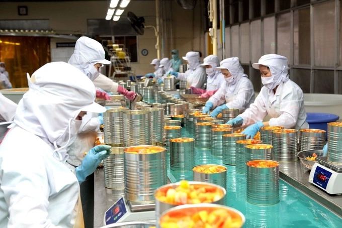 Workers at a canned fruit plant in the Mekong Delta city of Can Tho. Photo by VnExpress/Linh Dan