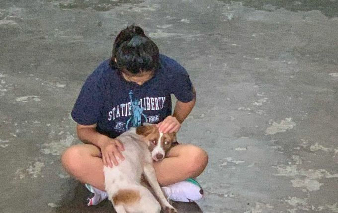 A volunteer working for Laws For Paws, a dog shelter in HCMC. photo courtesy of Elizabeth Homfray