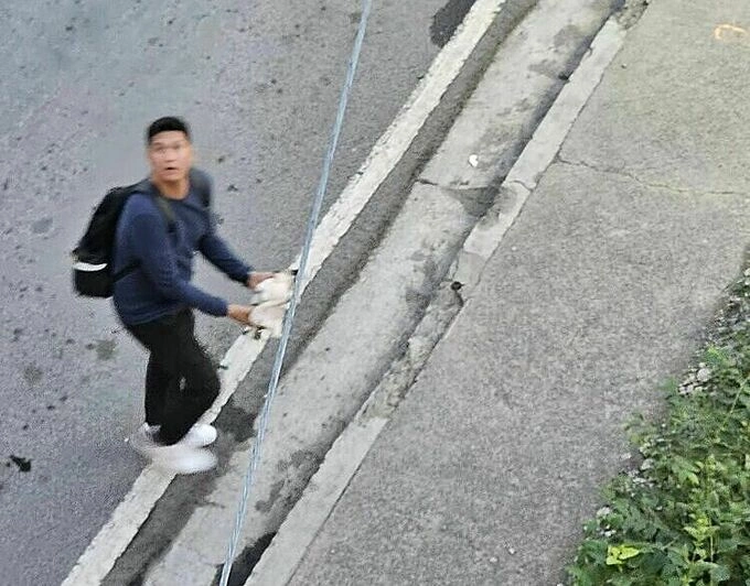 A passer-by picking up the dog from the ground. Photo from Janine Santos’ Facebook