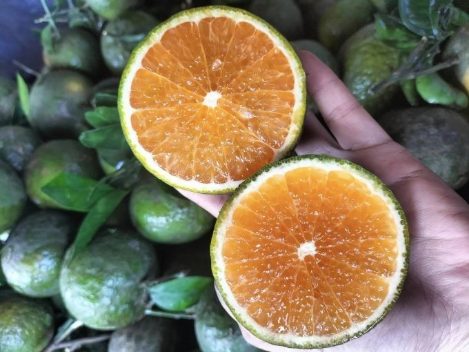 Vinh Long king oranges. Photo by Huong Nguyen