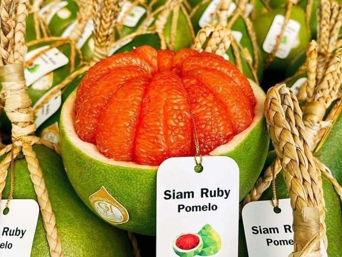 Siam ruby pomelos sold in Vietnam. Photo by Kieu Chung