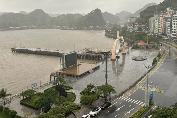 cat-ba-2904-1721689910-6791-1721691147.j