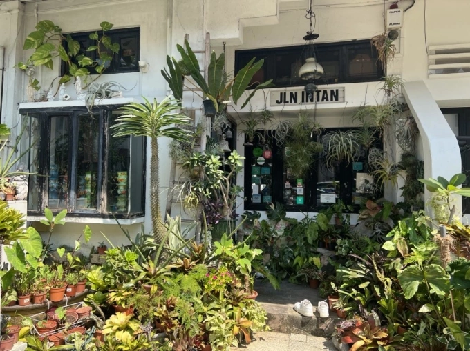 The Intan Museum is planted with lots of green trees outside. Photo by Phuong Anh