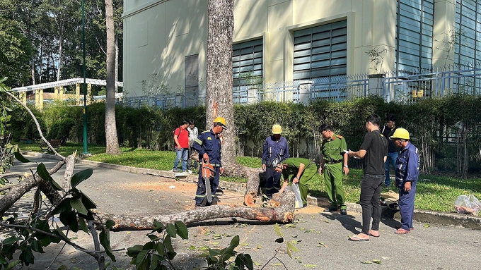 Police officers inspect a tree branch that broke off a tree and killed two people at Tao Dan Park in HCMC, Aug. 9, 2024. Photo by VnExpress/Ha Giang