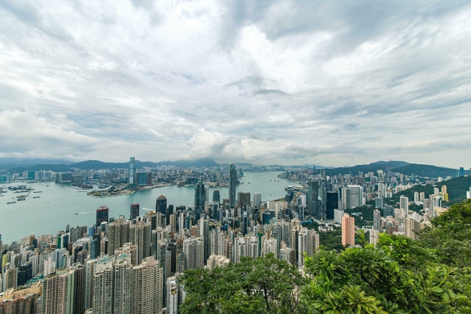 Buildings and trees near the ocean in Hong Kong. Illustration photo by Pexels