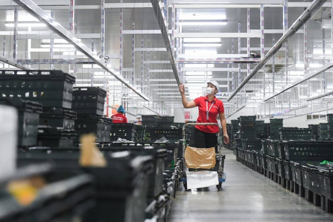Staff checking the automatic goods sorting system at the WinCommerce warehouse. Photo courtesy of Masan