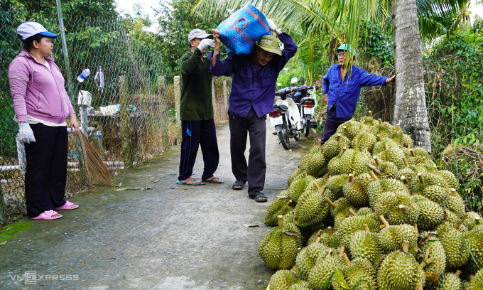 China imports 50% more durian from Vietnam