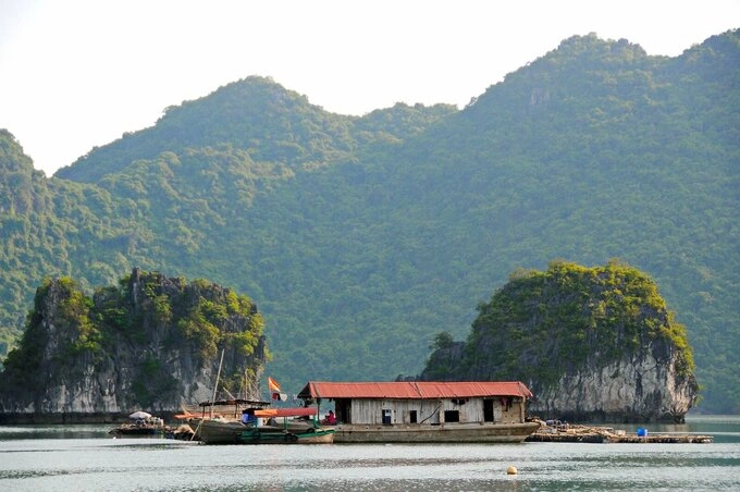Cat Ba fishing village in Hai Phong City. Photo by Shutterstock