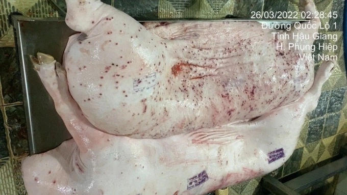 An image of diseased pork pieces circulated on social media in May 2025. Photo courtesy of Facebook/Jonny Lieu