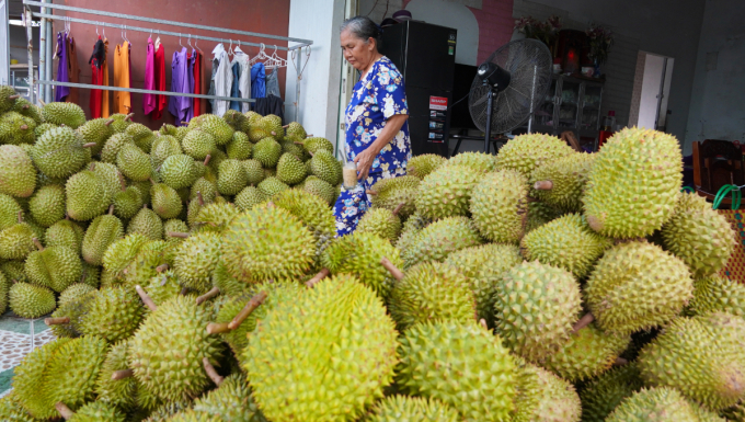 Durians in Ben Tre Province, March 2023. Photo by VnExpress/Hoang Nam