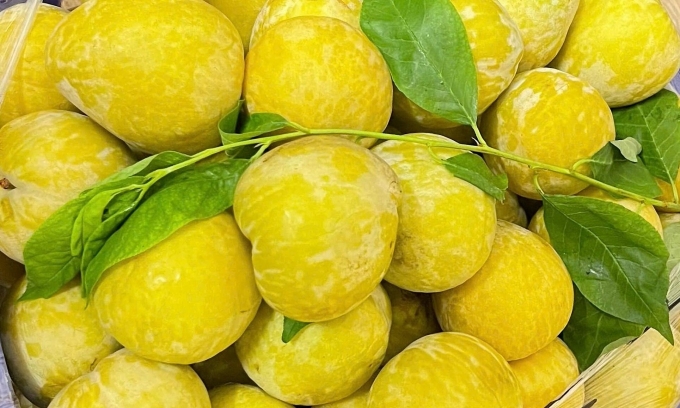 China golden plum sold in Vietnam. Photo acquired by VnExpress