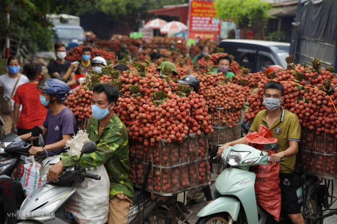 Lychees harvested in the former Bac Giang Province, northern Vietnam. Photo by VnExpress/Ngoc Thanh