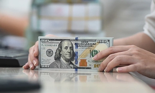 Dollar steadies at all-time high against dong